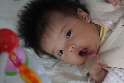 DSC013291