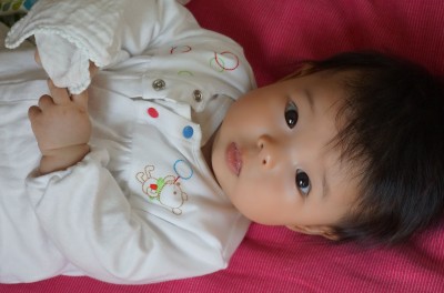 DSC080461
