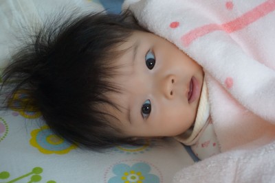 DSC086511